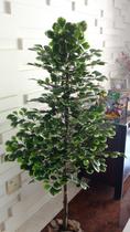 Planta Artificial Árvore SCHEFFLERA 1,30 metros de altura Planta Artificial Árvore SCHEFFLERA 1,30 metros de altura
