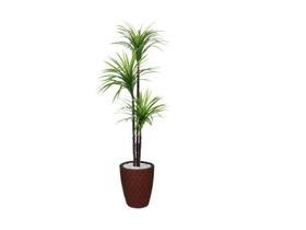 Planta Artificial Árvore Yucca 1,50m 3 Folhas Kit + Vaso E. Marrom 32cm - FLORESCER DECOR