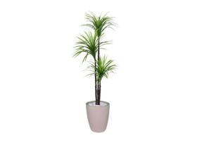 Planta Artificial Árvore Yucca 1,50m 3 Folhas Kit + Vaso S. Bege 30cm - FLORESCER DECOR