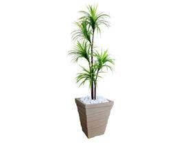 Planta Artificial Árvore Yucca 1,60m Kit + Vaso Trapézio D. Grafiato Bege 40cm Planta Artificial Árvore Yucca 1,60m Kit + Vaso Trapézio D. Grafiato Bege 40cm
