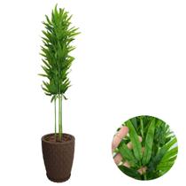 Planta Artificial Bambu Da Sorte com Vaso Polietileno Cores