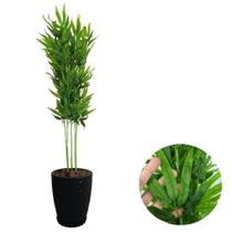 Planta Artificial Bambu Da Sorte com Vaso Polietileno Cores