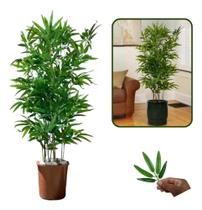 Planta Artificial Bambu Mossô Permanente