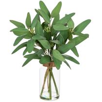 Planta artificial Briful Eucalyptus Hastes 36cm em vaso de vidro