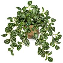 Planta artificial Briful Faux Watermelon Peperomia 45cm com vaso Planta artificial Briful Faux Watermelon Peperomia 45cm com vaso