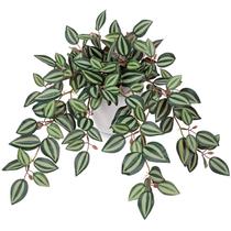 Planta artificial Briful Watermelon Peperomia 47 cm de altura Planta artificial Briful Watermelon Peperomia 47 cm de altura