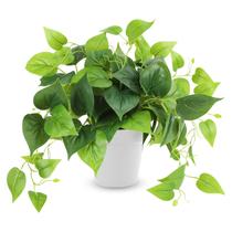 Planta artificial CEWOR Pothos Scindapsus Aureus 20cm com vaso
