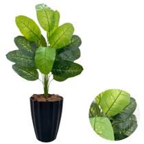 Planta Artificial Comigo Ninguem Pode Com Vaso Facetado Casa Planta Artificial Comigo Ninguem Pode Com Vaso Facetado Casa