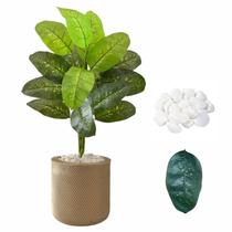 Planta Artificial Comigo Ninguém Pode + Vaso Bojo e Pedra