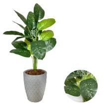 Planta Artificial Comigo Ninguem Pode+Vaso Diamante Completo