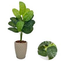 Planta Artificial Comigo Ninguem Pode+Vaso Diamante Completo Planta Artificial Comigo Ninguem Pode+Vaso Diamante Completo