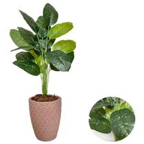 Planta Artificial Comigo Ninguem Pode+Vaso Diamante Completo Planta Artificial Comigo Ninguem Pode+Vaso Diamante Completo
