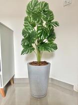 Planta Artificial Costela Com Vaso Cone Polietileno Polido Planta Artificial Costela Com Vaso Cone Polietileno Polido