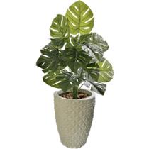 Planta Artificial Costela de Adão 24 Folhas + Vaso Completo