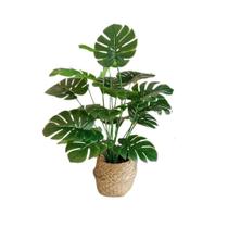 Planta Artificial Costela de Adão