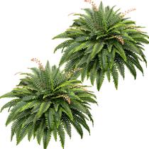 Planta Artificial CQURE Samambaia de Boston 128 Ramos 127 cm Planta Artificial CQURE Samambaia de Boston 128 Ramos 127 cm