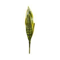 Planta Artificial De Cobra De 31/37cm, Suculenta Falsa De Plástico, Decoração Tropical Para Planta Artificial De Cobra De 31/37cm, Suculenta Falsa De Plástico, Decoração Tropical Para