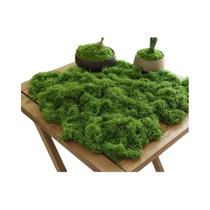 Planta Artificial De Musgo Realista Para Decoração De Artesanato DIY, Decoração De Casa, Paisagens