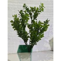 Planta artificial decorativa - FL 19530 - YING