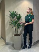 Planta Artificial Dracena Realista 1,60m com Vaso Luxo Grande para Decoração Planta Artificial Dracena Realista 1,60m com Vaso Luxo Grande para Decoração