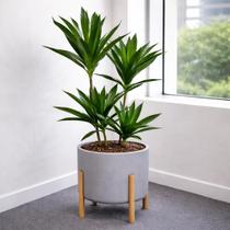 Planta Artificial Dracena Realista com Vaso Decorativo para Decoração Completa