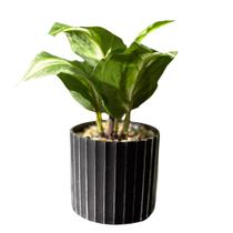 Planta Artificial em Plástico com Vasinho Decorado Preto 8cm Planta Artificial em Plástico com Vasinho Decorado Preto 8cm