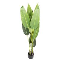 Planta Artificial Estrelícia Folhas Com Pote X12 Verde 130 Cm F04 - D'rossii Planta Artificial Estrelícia Folhas Com Pote X12 Verde 130 Cm F04 - D'rossii