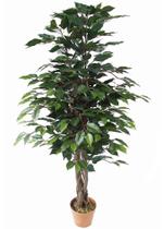 Planta Artificial Ficus Just Home Collection