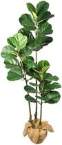 Planta Artificial Fícus Lyrata 1.6m Decoração Premium