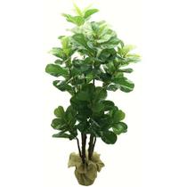 Planta Artificial Ficus Lyrata 4 Hastes 1,5mt folhagem