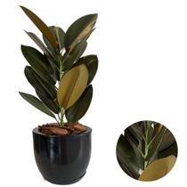 Planta Artificial Ficus Lyrata Com Vaso Bojo De Polietileno