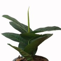 Planta Artificial Ficus Lyrata Folhas Lindas Decoração Casa