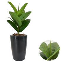 Planta Artificial Ficus Lyrata Jiboia Com Vaso Cone Liso - Planta Artificial Ficus Lyrata Jiboia Com Vaso Cone Liso -