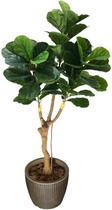 Planta Artificial Ficus Lyrata Toque Real 1,7mt Folhagem