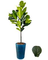 Planta Artificial Fícus Lyrata +Vaso Marmorizado Polietileno