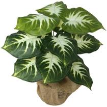 Planta Artificial Folhagem Comigo Ninguém Pode 53cm 12 folhas Planta Artificial Folhagem Comigo Ninguém Pode 53cm 12 folhas