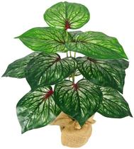 Planta Artificial Folhagem Da Fortuna 12 Folhas 43cm Realista