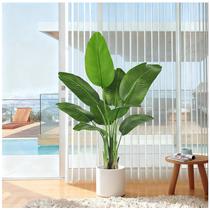 Planta Artificial FSOHOI 122 cm Árvore de Banana para Ambientes Internos Planta Artificial FSOHOI 122 cm Árvore de Banana para Ambientes Internos