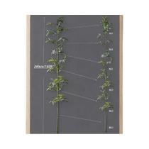 Planta Artificial Grande De Bambu 160-270cm, Palmeira Falsa Com Folhas De Bambusa E Monstera Planta Artificial Grande De Bambu 160-270cm, Palmeira Falsa Com Folhas De Bambusa E Monstera