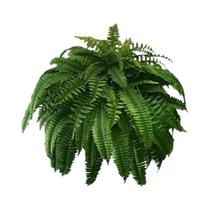 Planta Artificial Grande E Realista De Samambaia De Boston Com 21 Folhas, Elegante Folhagem Falsa Planta Artificial Grande E Realista De Samambaia De Boston Com 21 Folhas, Elegante Folhagem Falsa