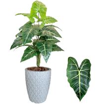 Planta Artificial Jiboia Com Vaso Completo Casca Decoração Planta Artificial Jiboia Com Vaso Completo Casca Decoração