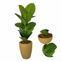 Planta Artificial Jiboia com Vaso Polietileno Completo Cores