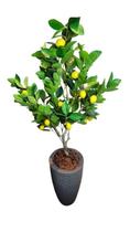 Planta Artificial Limoeiro 1,20m Kit com Vaso Cinza 40cm