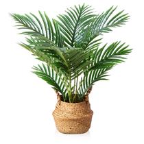 Planta artificial LOMANTO Fake Majesty Palm 60 cm com cesta