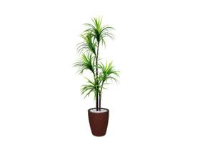 Planta Artificial Para Sala Árvore Yucca 1,60m Kit + Vaso E. Marrom 32cm