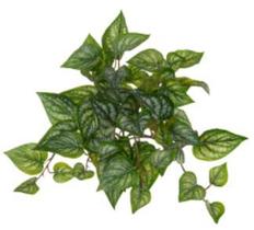 Planta Artificial Pendurar Gerânio Real Toque C/UV X58 Verde Creme 30cm