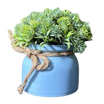 Planta Artificial Suculenta Decorativa em Plástico com Vaso Planta Artificial Suculenta Decorativa em Plástico com Vaso