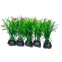 Planta Artificial Verde c/ flor Aquário Decoração 5 un 8cm
