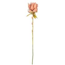 Planta artificial Vickerman 94 cm, caule de protea seco vermelho, pacote com 2