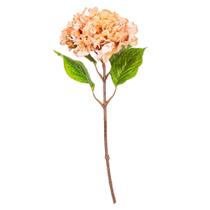 Planta artificial Vickerman Coffee Hydrangea Stem 51 cm, pacote com 2